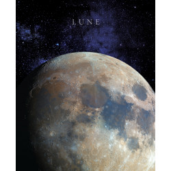 Tableau Lune - BeMyWall